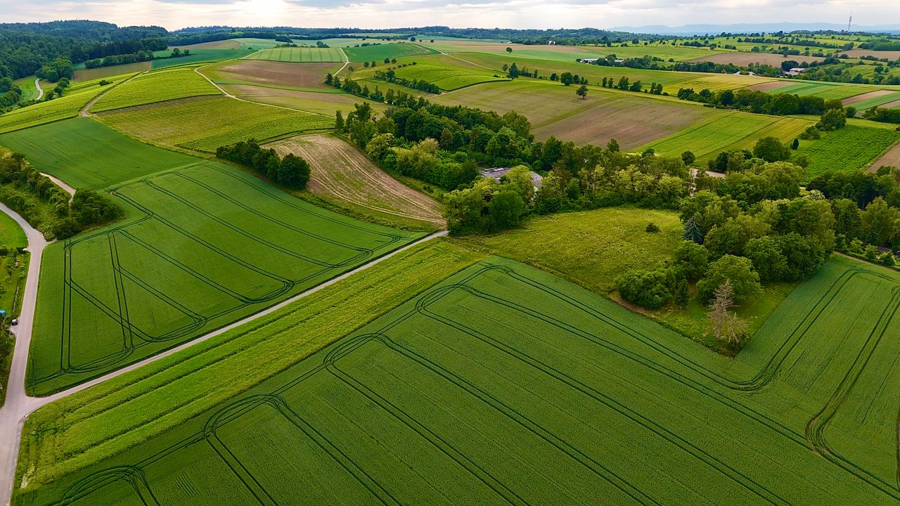 Farm Lands